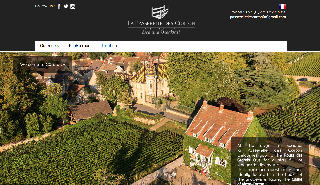 website picture